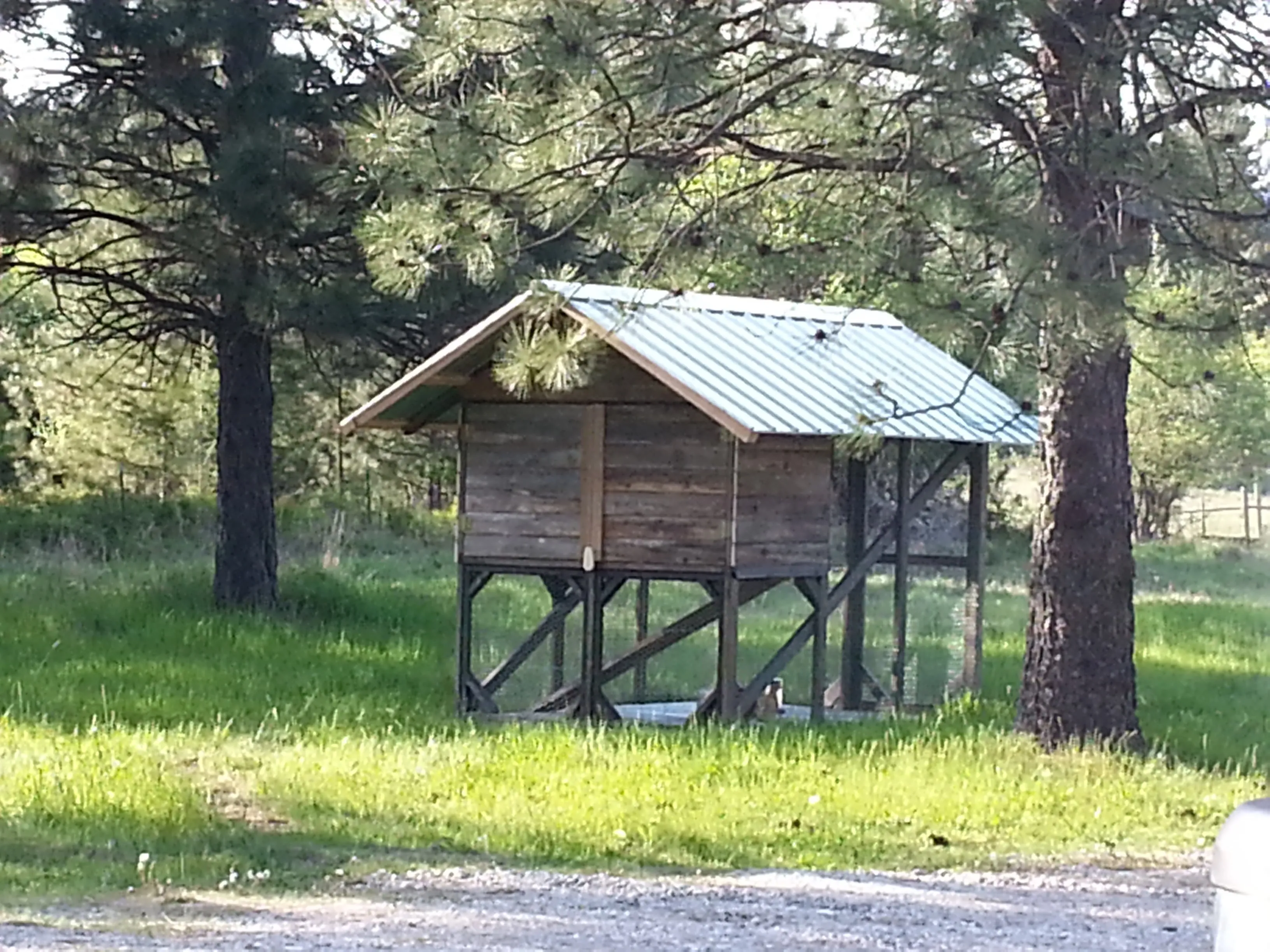 Chicken coop