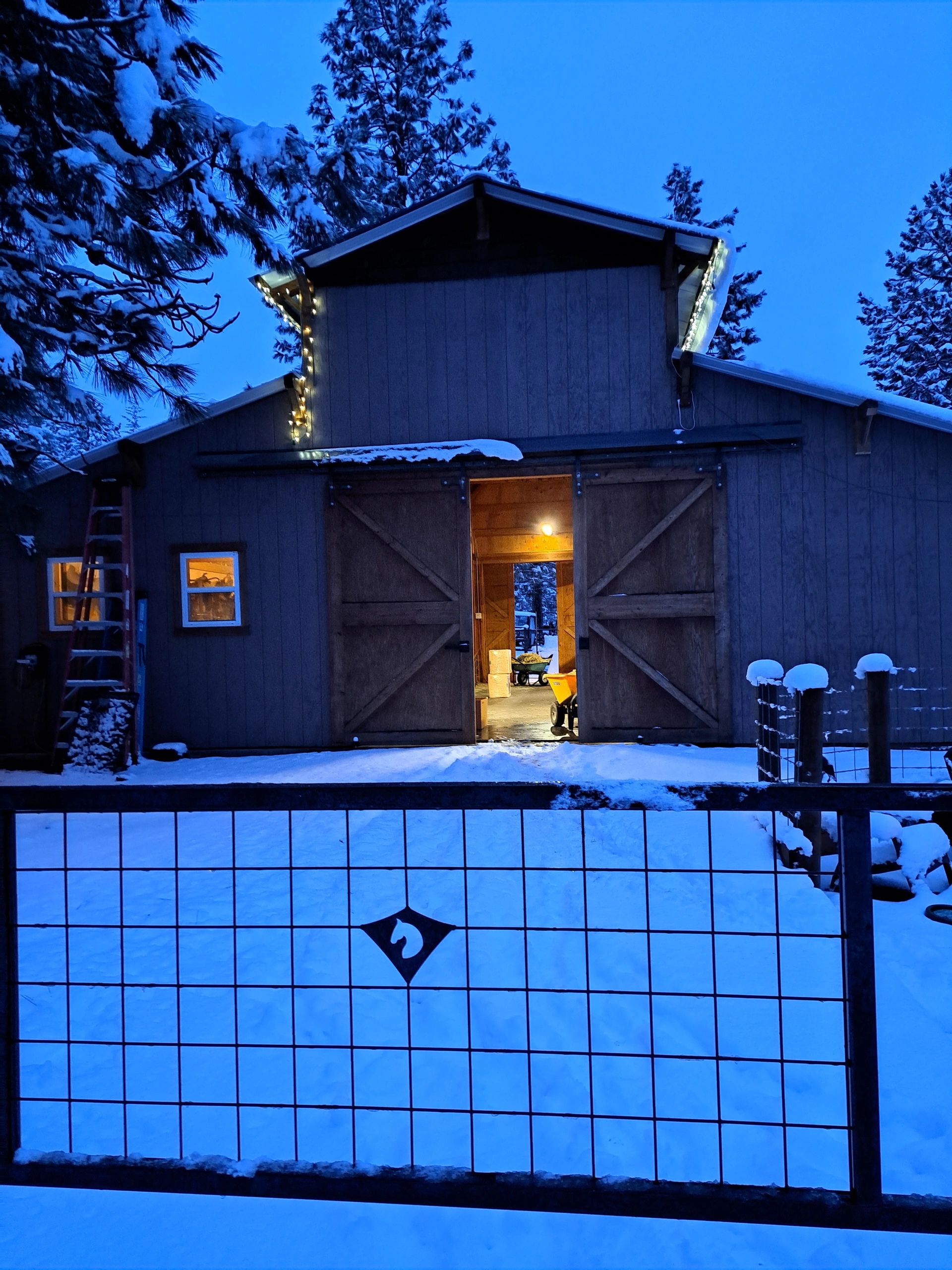 Barn in Winter